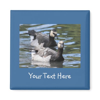 Barnacle Duet Magnets by Welshpixels