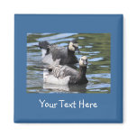 Barnacle Duet magnets