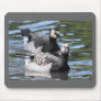 Barnacle Duet Mouse Pads