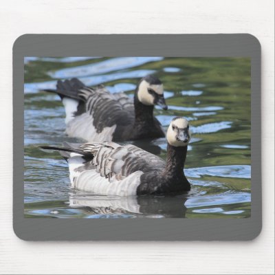 Barnacle Duet Mouse Pads by Welshpixels
