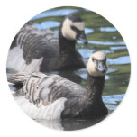 Barnacle Duet Round Stickers