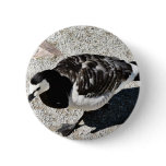 Barnacle Goose Animal Pin