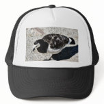 Barnacle Goose Animal Mesh Hat