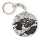 Barnacle Goose Animal Key Chains