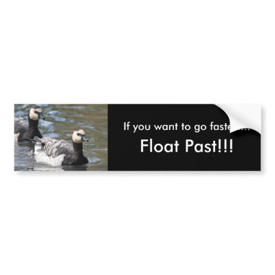 Barnacle Goose Bumper Sticker by Welshpixels