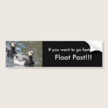 Barnacle Goose bumper stickers