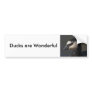 Barnacle Goose Bumper Sticker