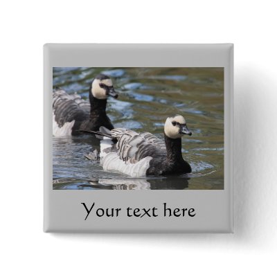 Barnacle Goose Pins by Welshpixels