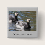 Barnacle Goose buttons