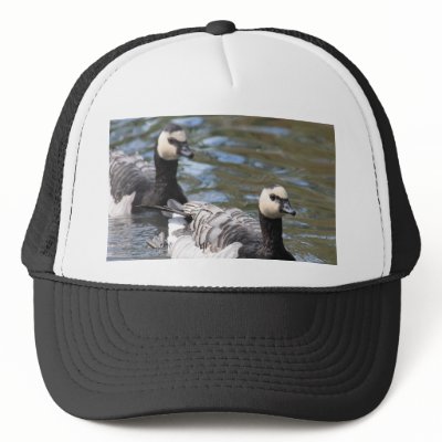 Barnacle Goose Trucker Hats by Welshpixels