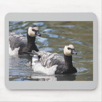 Barnacle Goose Mouse Pads by Welshpixels
