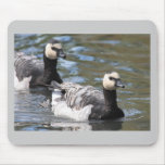 Barnacle Goose mousepads