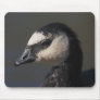 Barnacle Goose Mouse Pad
