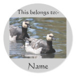 Barnacle Goose stickers