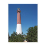 Barnegat Lighthouse "Old Barney" Postcard