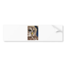 Barney the Owl