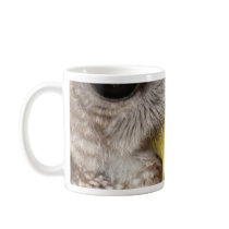 Barney the Owl Coffee Mug