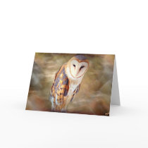 BarnOwl Cards