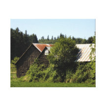 Barns Near Banks, Oregon Stretched Canvas Print