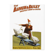 Barnum and Bailey: Performing Geese Post Cards