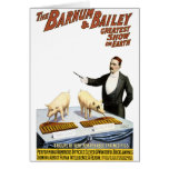 Barnum and Bailey: Performing Pigs Card