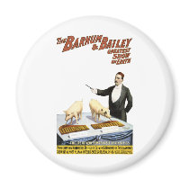 Barnum and Bailey: Performing Pigs Magnets