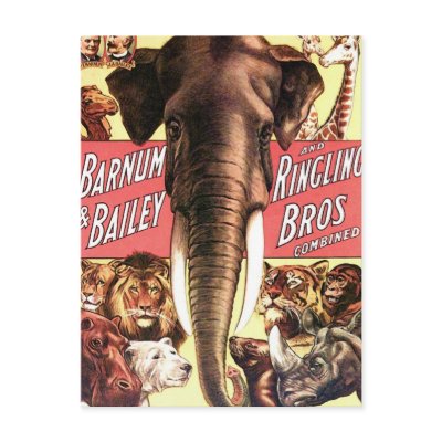 Barnum & Bailey and Ringling Bros Combined - Eleph Post Card by photochrom