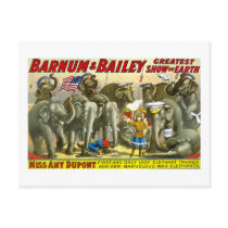 Barnum & Bailey - Elephants Postcards