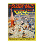 Barnum & Bailey Grand Water Circus postcards