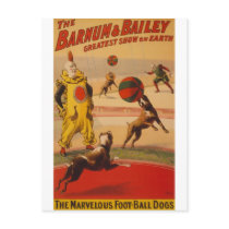 Barnum & Bailey Marvellous Foot-ball Dogs
