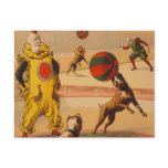 Barnum & Bailey - Marvellous Football Dogs