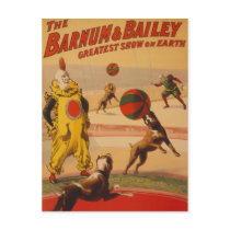 Barnum & Bailey - Marvellous Football Dogs
