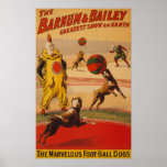 Barnum & Bailey - Marvellous Football Dogs