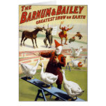 Barnum & Bailey - Wonderful Performing Geese cards