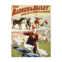 Barnum & Bailey - Wonderful Performing Geese Post Cards