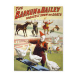 Barnum & Bailey - Wonderful Performing Geese postcards
