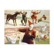 Barnum & Bailey - Wonderful Performing Geese Post Card