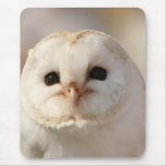 Barny the Barn Owl Mouse Mat