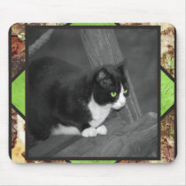 Barnyard Cat Mousepad