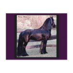 Baroque Horse Postcard, Customisable