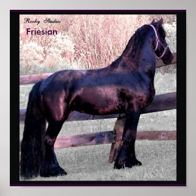 Baroque Horse Poster by RookyStudios