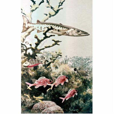 Barracuda and Reef Fishes Acrylic Cut Out by animalpark