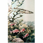 Barracuda and Reef Fishes photo sculptures