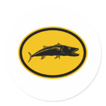 Barracuda Fish