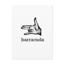 Barracuda Postcard