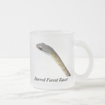 Barred Forest Racer Coffee Mugs