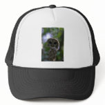 Barred owl, Everglades, Florida Trucker Hats