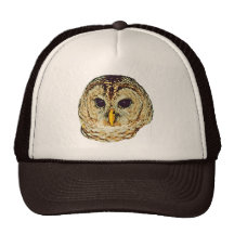 Barred Owl Gift Hat