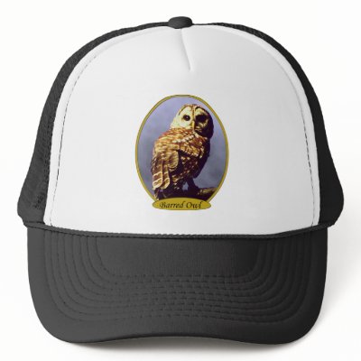 Barred Owl Hat by natures_edge