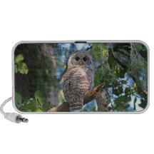 Barred Owl in the Forest Laptop Speakers